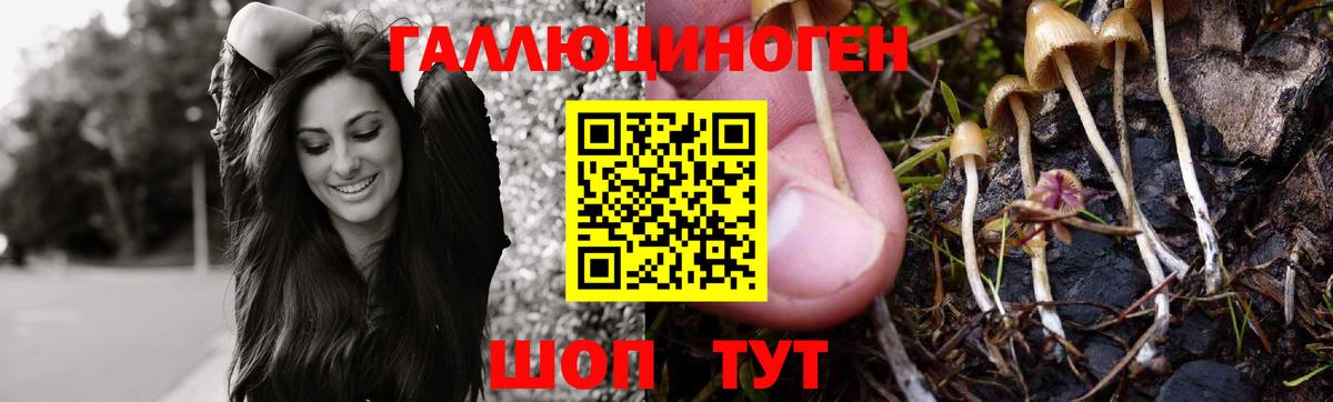Галлюциногенные грибы Magic Shrooms  Вход с VPN  Ухта 